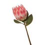 Fiori Protea Stem Pink Flower - 62cm