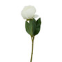 Fiori Peony Stem White Pink Flower - 65cm