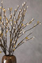 Fiori Tall White Pussy Willow Spray Flower Stem