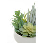 Fiori Mixed Succulents In Large Ceramic Pot
