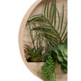 Fiori Mixed Succulents in Wood Wall Planter Fiori Mixed Succulents in Wood Wall Planter