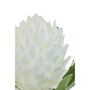 Fiori White Tropical Plant