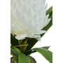 Fiori White Tropical Plant