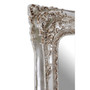 Marseille Champagne Baroque Style Wall Mirror