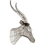 Zania Antelope Head