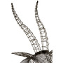 Zania Antelope Head