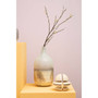 Sura Set of 2 Bookends