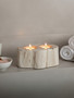 Relic Petrified Wood Double Candle Holder