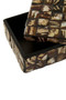 Branna Small Natural Shell Detail Box