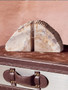 Relic Set of 2 Petrified Wood Natural Bookends