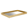 Hiba Gold Finish Mirrored Tray