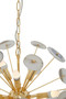 Glamour Gold and Agate 12 Light Celing Light