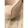 Manhattan Mink Velvet  Armchair