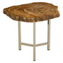 Relic Small Petrified Wood Side Table