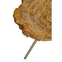 Relic Large Petrified Wood Side Table Relic Large Petrified Wood Side Table