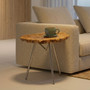 Relic Large Petrified Wood Side Table