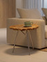 Relic Large Petrified Wood Side Table