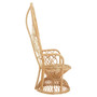 Java Natural Rattan Curved Chair