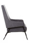 Henia Ash Velvet Chair Henia Ash Velvet Chair