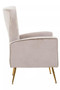 Zamora Mink Velvet Accent Chair With Gold Finish Legs