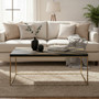 Aris Black And Gold Coffee Table