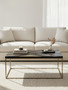 Aris Black And Gold Coffee Table