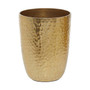 Allegra Gold Finish Tumbler - 300ml