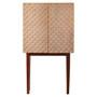 Costal Cabinet