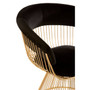 Vogue Black Velvet / Gold Finish Chair Vogue Black Velvet / Gold Finish Chair