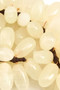 Oleena Large White Onyx Decorative 100 Grapes