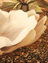 Galene Fluted Natural Glass Plate
