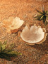 Galene Fluted Natural Glass Pedestal Bowl