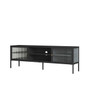 Addison Black Metal and Fluted Glass Door Media Unit