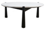 Wilbur White Marble Top and Black Finish Mango Wood Coffee Table