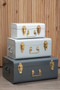 Parley Set of Three Assorted Grey Storage Trunks