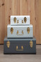 Parley Set of Three Assorted Grey Storage Trunks