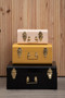 Parley Set of Three Assorted Storage Trunks