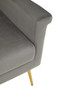 Salma Grey Velvet Armchair with Gold Legs