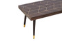 Naro Mango Wood And Gold Finishing Coffee Table