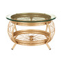 Mantis Champagne Gold Finish Coffee Table