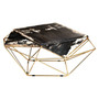 Relic Dark Petrified Wood Coffee Table