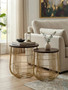 Agra Set Of 2 Side Tables in Mango Wood and Brass Finish