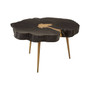 Asamra Coffee Table