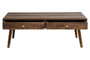 Frida Wood Veneer Coffee Table with 2 Drawers