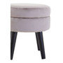 Loretta Mink Velvet Stool