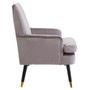Loretta Mink Velvet Armchair