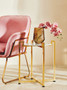 Xander Pink Velvet Modern Accent Chair witg Gold Frame