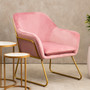 Xander Pink Velvet Modern Accent Chair witg Gold Frame