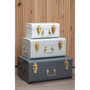 Parley Set of three Assorted Grey Storage Trunks