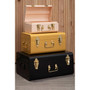Parley Set of Three Assorted Storage Trunks